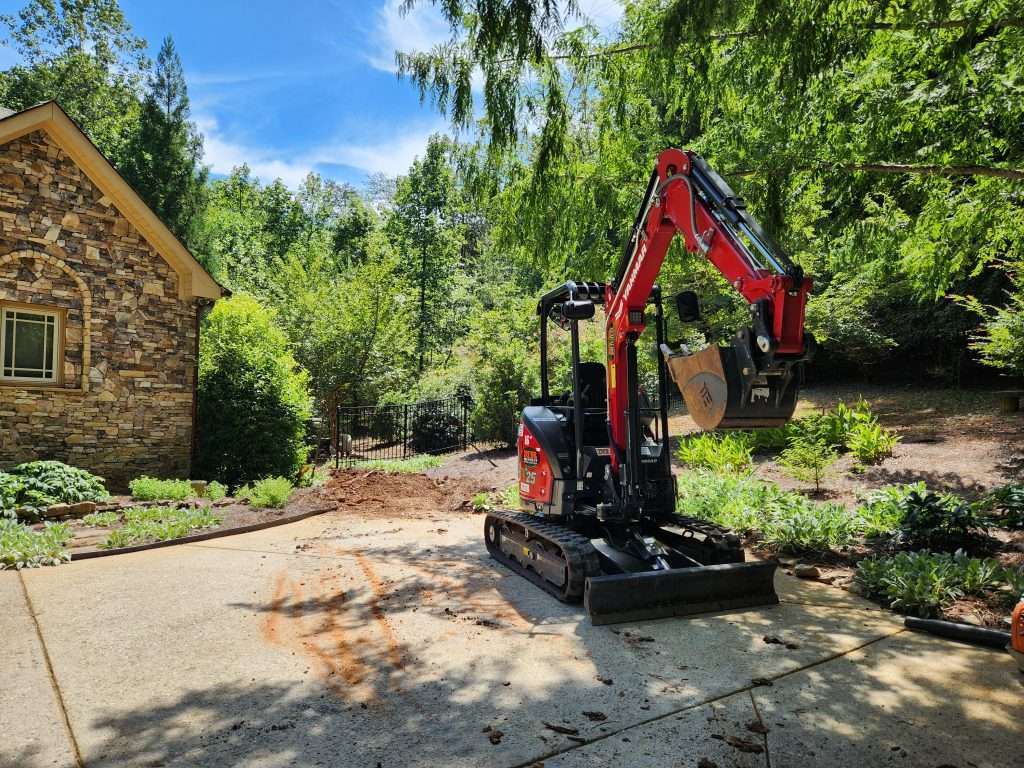 removing tree root in Dahlonega Georgia