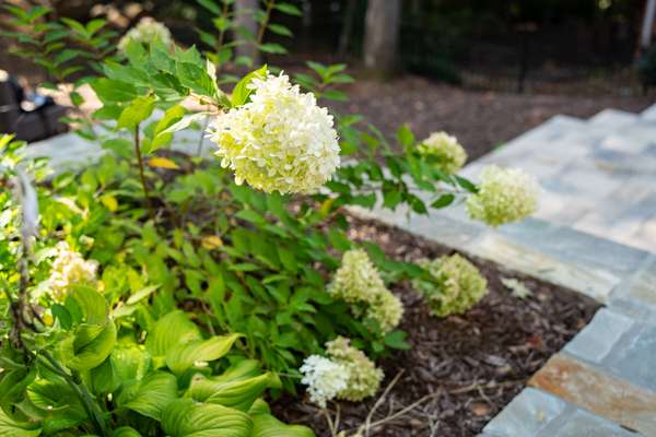 backyard makeover cleveland GA